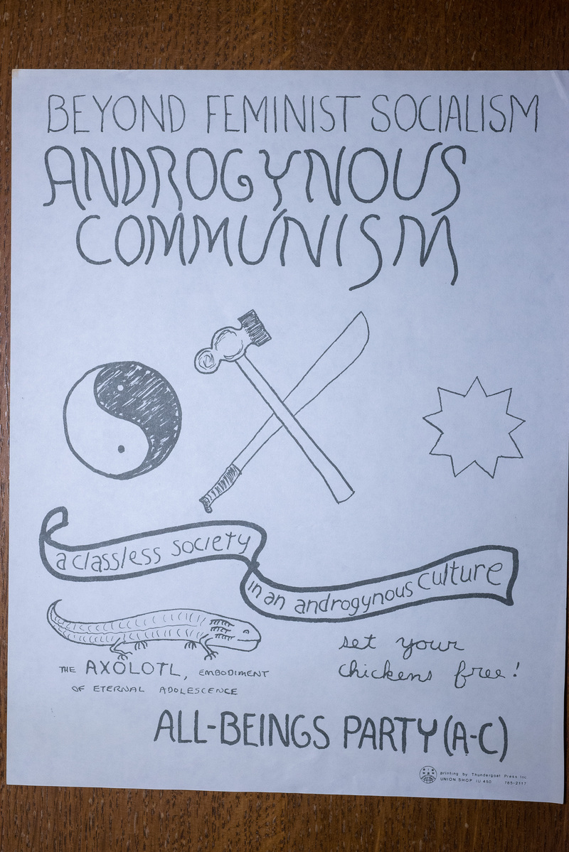 Androgynous Communism