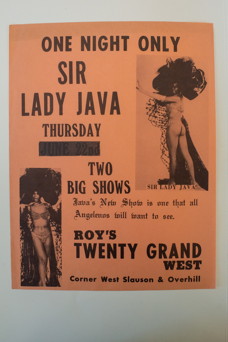 One Night Only Sir Lady Java