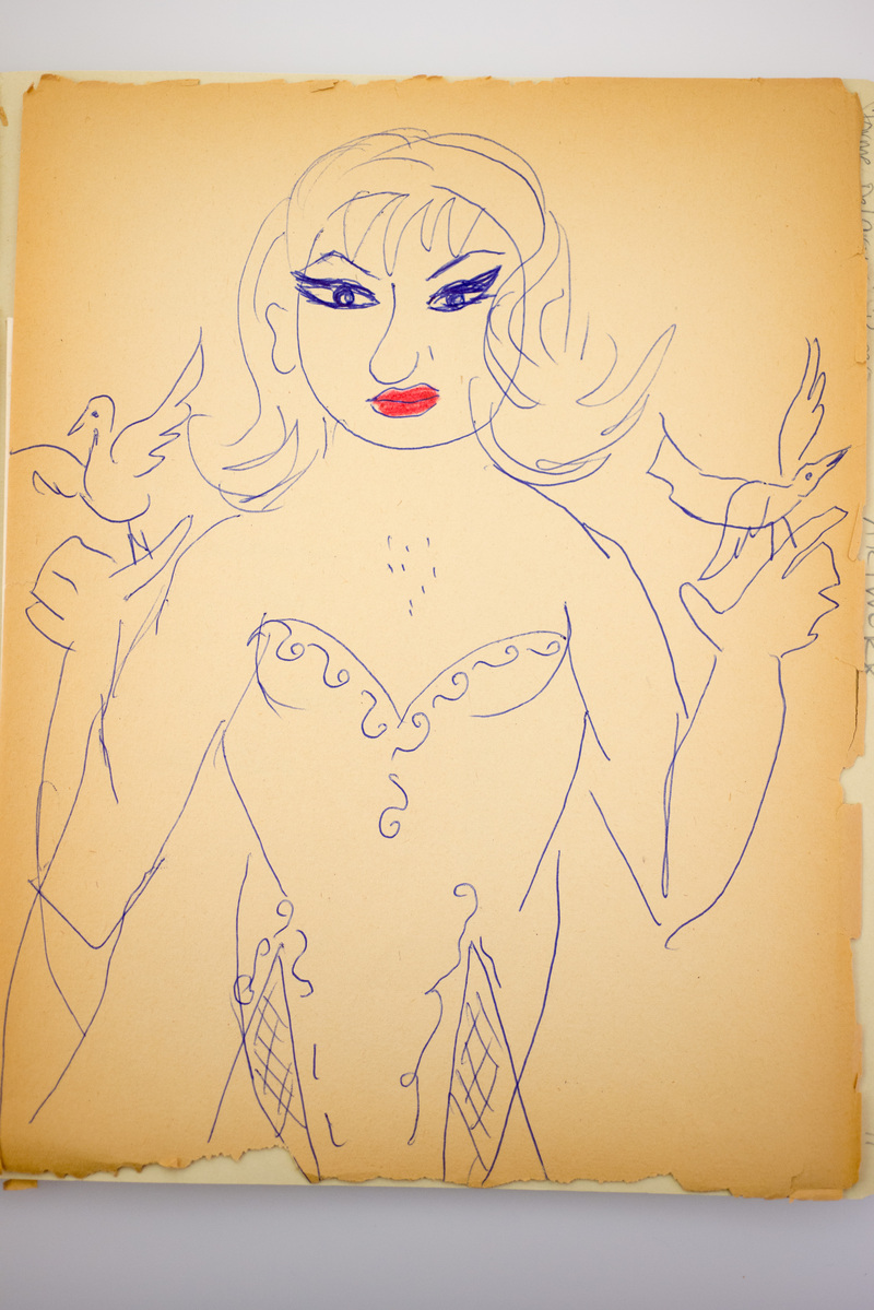 Untitled (drag queen with birds)